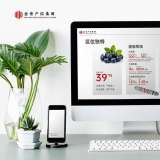 创意共和设计公司：如何通过平面设计提升品牌形象